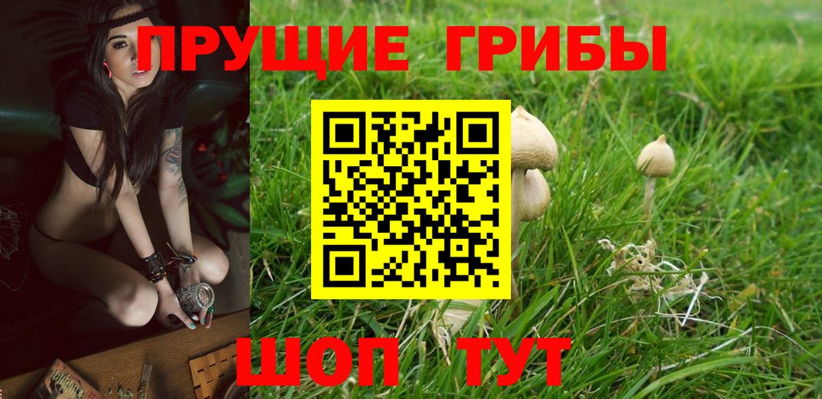 Псилоцибиновые грибы MAGIC MUSHROOMS  Вход с VPN  Орск 